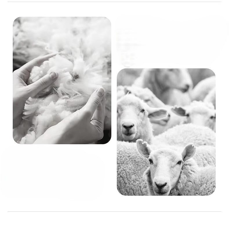 Cape Courte 100% Merinos MYLAN